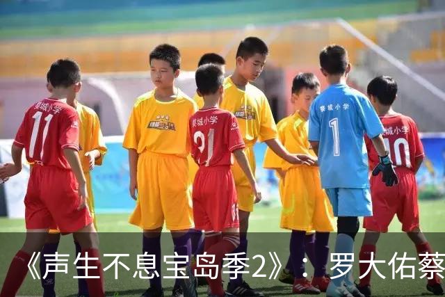 《声生不息宝岛季2》：罗大佑蔡琴坐镇，任贤齐领衔8位常驻！