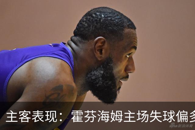 主客表现：霍芬海姆主场失球偏多，里昂客场更稳