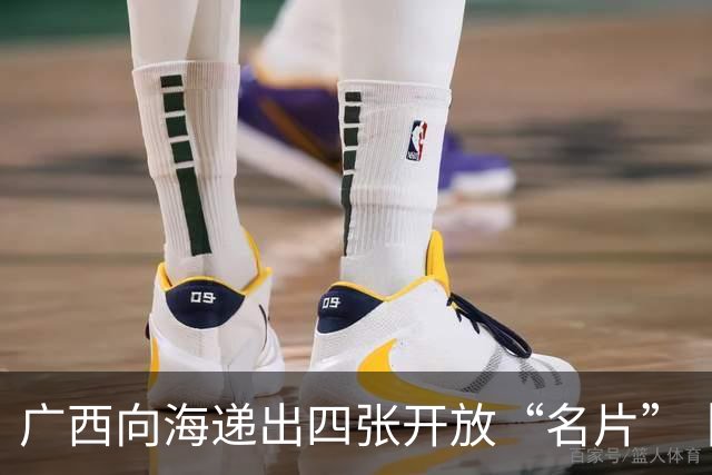 广西向海递出四张开放“名片”丨活力中国调研行