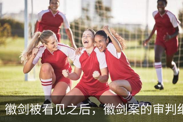 徽剑被看见之后，徽剑案的审判细节也该被看见