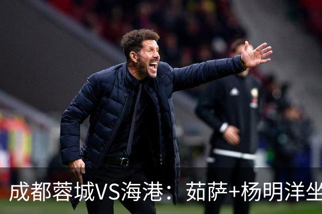 成都蓉城VS海港：茹萨+杨明洋坐镇，罗慕洛领衔，巴西锋霸出击