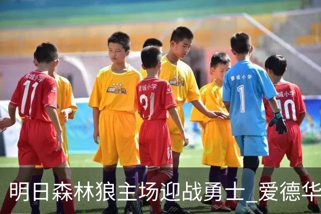 明日森林狼主场迎战勇士 爱德华兹出战成疑 迪文岑佐缺席