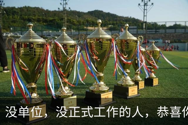 没单位，没正式工作的人，恭喜你！社保这么交，老了照样领退休金