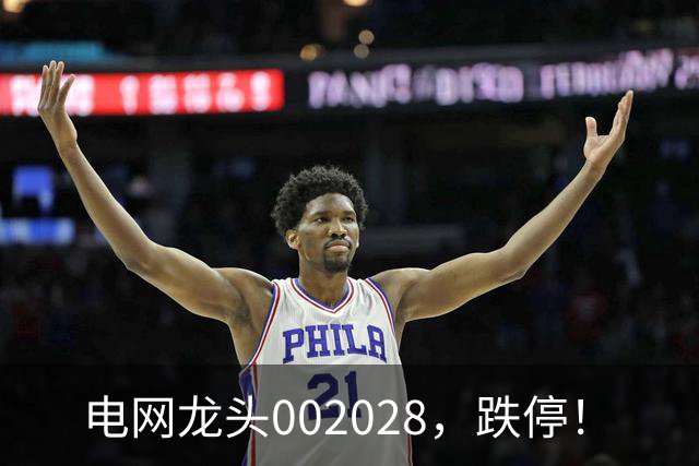 电网龙头002028，跌停！