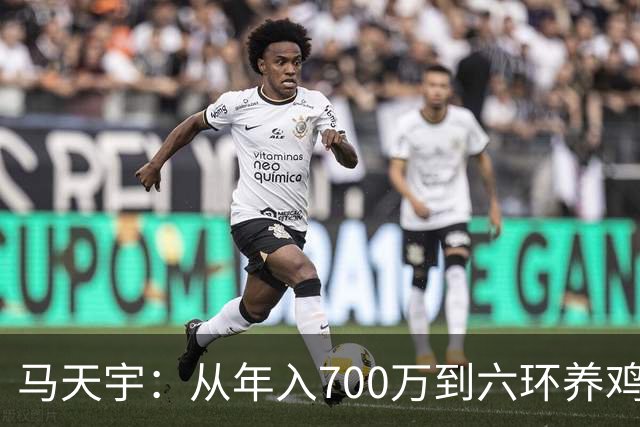 马天宇：从年入700万到六环养鸡，为何把做自己放在做艺人前面？