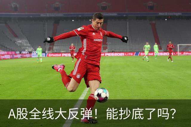 A股全线大反弹！能抄底了吗？